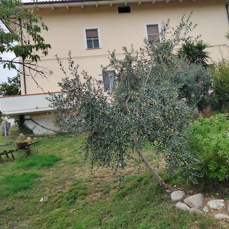 Casa Il Canto Tortoreto Ngoại thất bức ảnh