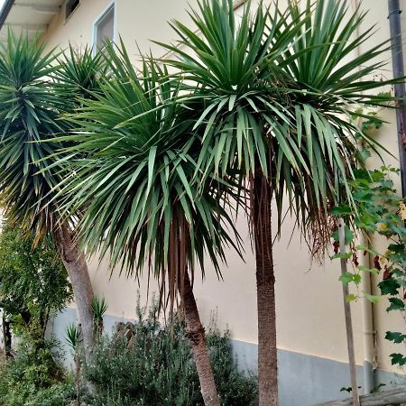 Casa Il Canto Tortoreto Ngoại thất bức ảnh