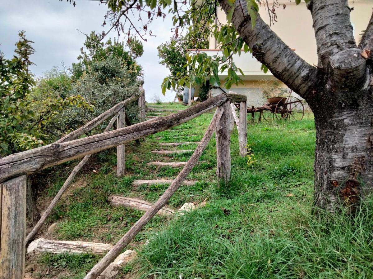 Casa Il Canto Tortoreto Ngoại thất bức ảnh